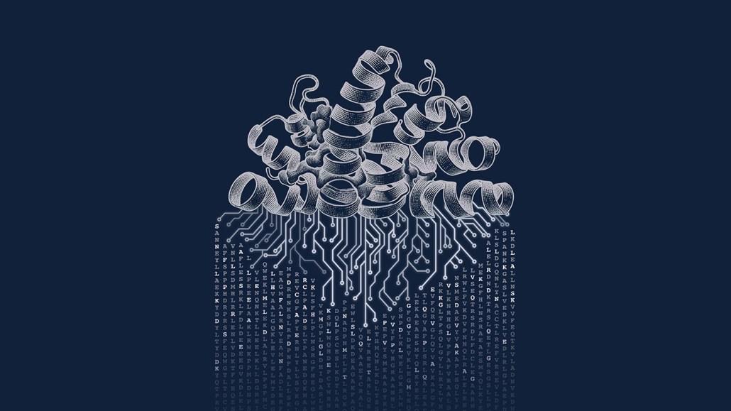 This gray illustration on a dark blue background shows the curlicues of proteins being translated into protein sequences. The proteins flow into what looks like computer network diagraming and then a rain of letters, to illustrate how AI can decode proteins.