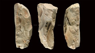Three chisled stone tools known as Quina scrapers, made by early human ancestors, are shown on a black background