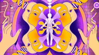 A conceptual illustration representing the development of biological sex. The art is abstract and features shades of purple, orange and yellow. Two cells are splitting with a pair of human hands appearing to grab either end of the cells. A human silhouette is in the middle of the art, with developing faces surrounding it. There are DNA strands on the edges of the art that end in human hands.