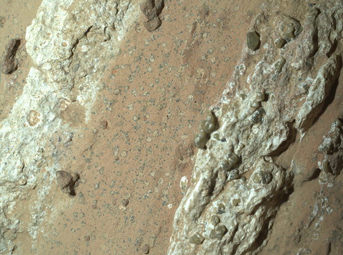 Close-up view of a reddish rock with smaller dark spots