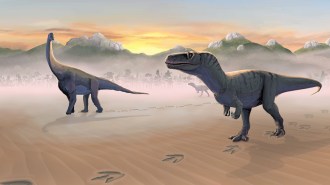 An image of a sauropod dinosaur and a theropod dinosaur walking in sand on the Isle of Skye.