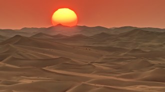 The setting sun casts a rosy hue over a vast desert.