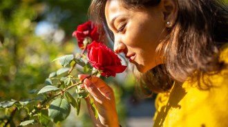 Uncertainty can help people savor the little things.