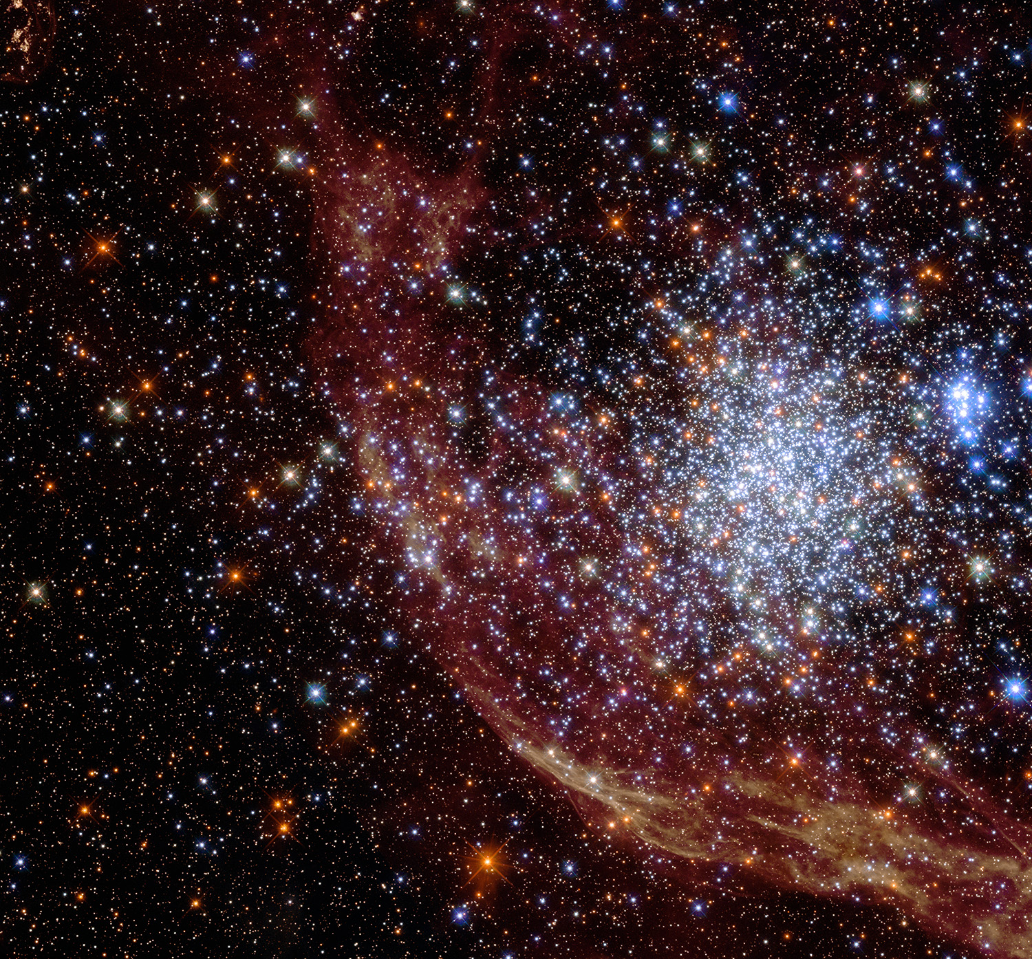 A dense cluster of red, white and blue stars sits in front of a brownish wisp of cloud arcing across the background