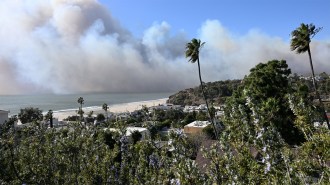 Smoke from the Palisades fire can be seen above the ocean. View is from Santa Monica and includes green trees, other plants and buildings by the coast.