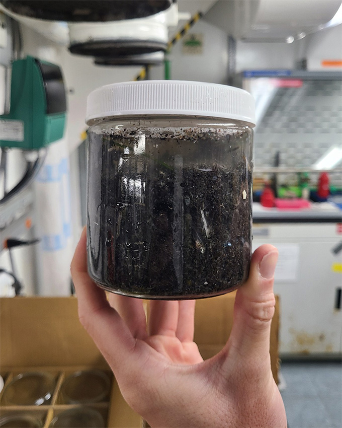 A jar about the size of a hand filled with water and black ash and debris.