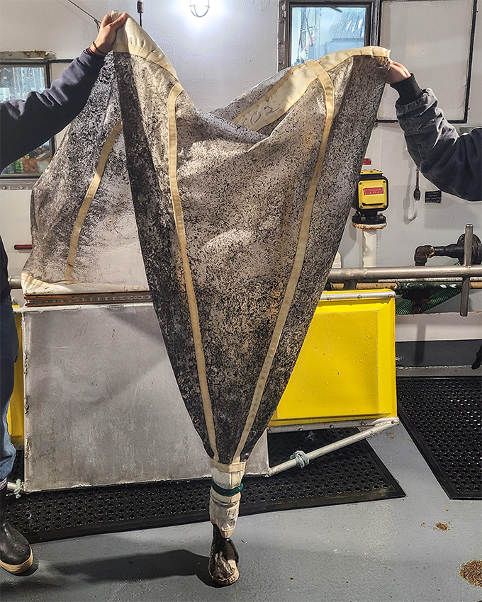 A cone-shaped net covered in black speckles held on either side by people out of frame. They're holding it at half of it's length, roughly 5 feet.