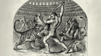 A drawing of Roman gladiators holding knives over a lion in an arena