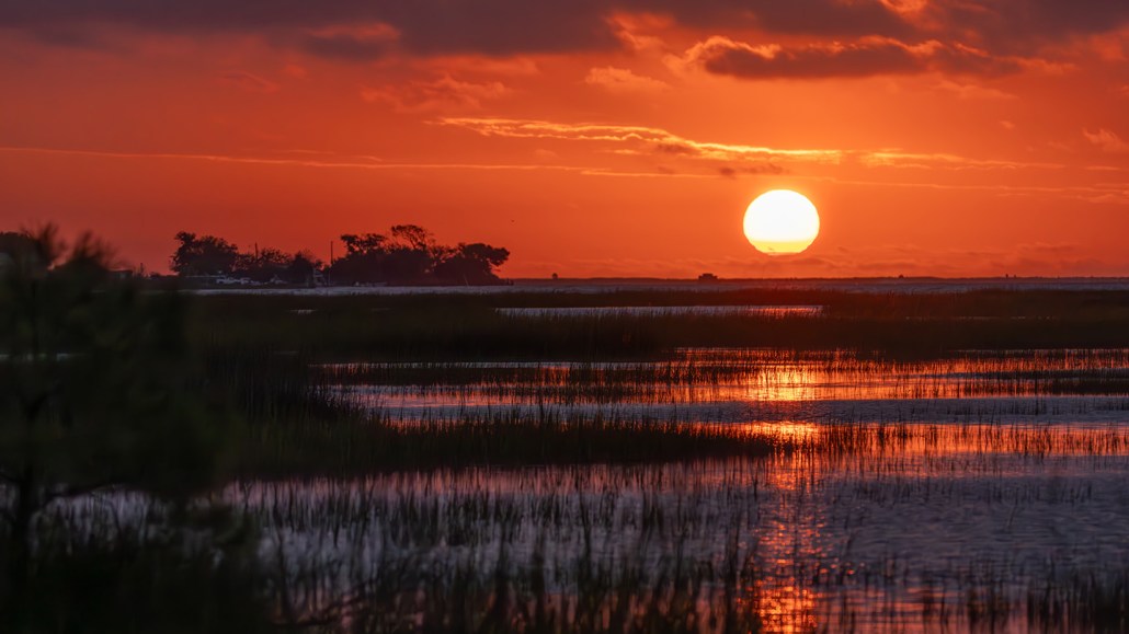 A photograph of the sun setting over Chesapeake Bay wetlands. A warming climate could increase bacterial methane production in wetlands.