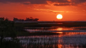 A photograph of the sun setting over Chesapeake Bay wetlands. A warming climate could increase bacterial methane production in wetlands.