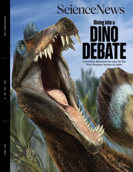 Cover of Science News' May 2025 issue featuring a Spinosaurus on the cover