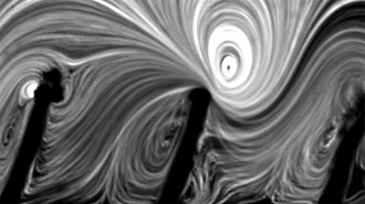 Black and white image of 3 zoomed in cilia with their tips slightly angled to the right. Above them are swirls of black and white showing the vortices of fluid they generate when exposed to ultrasound. Scientists suggest lining stents with cilia to make them easy to clean.