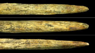 Close-up views of a pointed, yellowish-brown ancient bone fragment shown from three different angles against a black background, displaying its weathered texture and dark speckled markings.