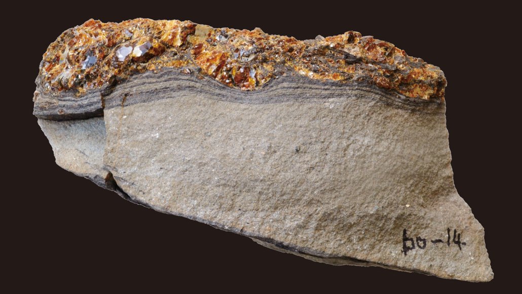 A slab of brown-gray rick is topped by a seam of golden colored amber. The fossilized tree resin was deposited by a massive tsunami, a new study suggests.
