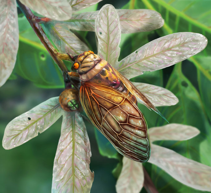 An illustration of a golden cicada sitting on a silvery-green leafy branch