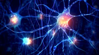 A digital illustration of an astrocyte shows a bright orange and pink cell on a dark blue background, with lots of thin blue tendrils spanning outward.
