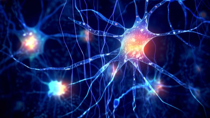 A digital illustration of an astrocyte shows a bright orange and pink cell on a dark blue background, with lots of thin blue tendrils spanning outward.