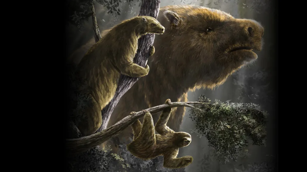An artist's conception of three different sloth species, including a modern tree-dwelling sloth, the extinct giant ground sloth and an intermediate semi-arboreal sloth.