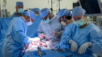 An image of surgeons completing a bladder transplant