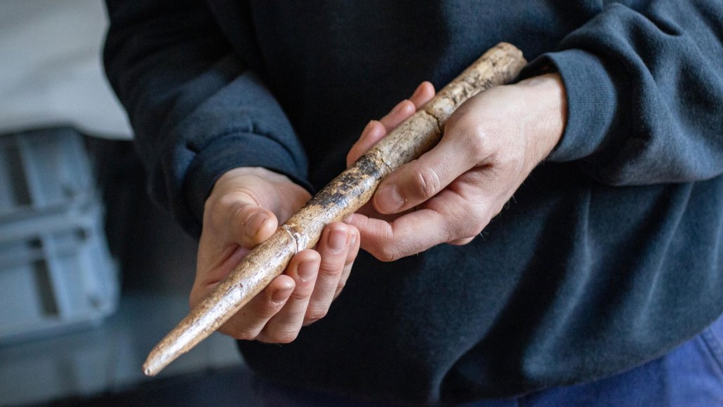 A pair of hands holding a spearlike tool made of whale bone, about a foot long