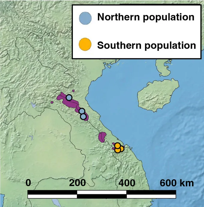 Map showing the distribution of saola populations in Laos and Vietnam.