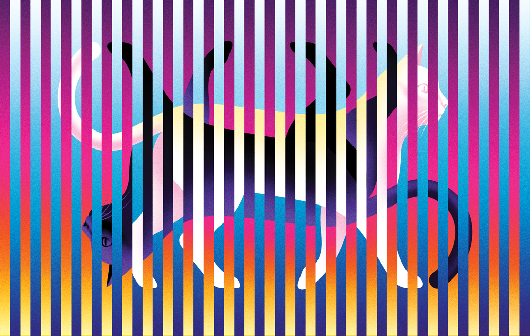 An illustration of two cats rotated 180° from eachother.