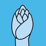 Illustration of a shoot tip