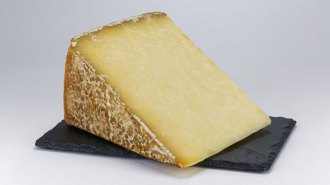 A photo of a wedge of Cantal cheese