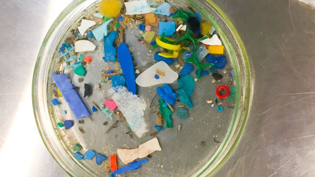 A petri dish full of various sizes and shards of colored plastics.