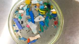A petri dish full of various sizes and shards of colored plastics.
