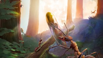 Illustration of a forest scene from 99 million years ago where an adult worker ant carries a fungus-infected ant pupa, while a fly with fungi bursting out of its back climbs up a tree.