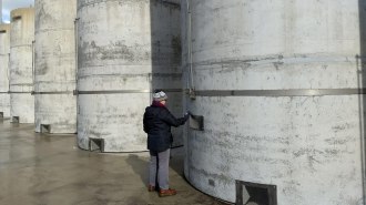 A person stands next to a row of large concrete cylinders used for storing nuclear waste.