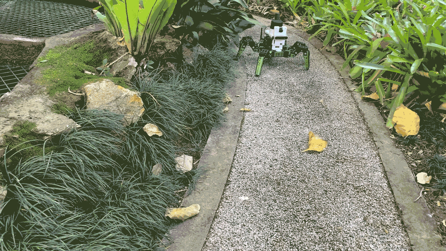 A looping video of a small, six-legged robot with sensors walking steadily forward along a narrow gravel path in a lush garden setting.