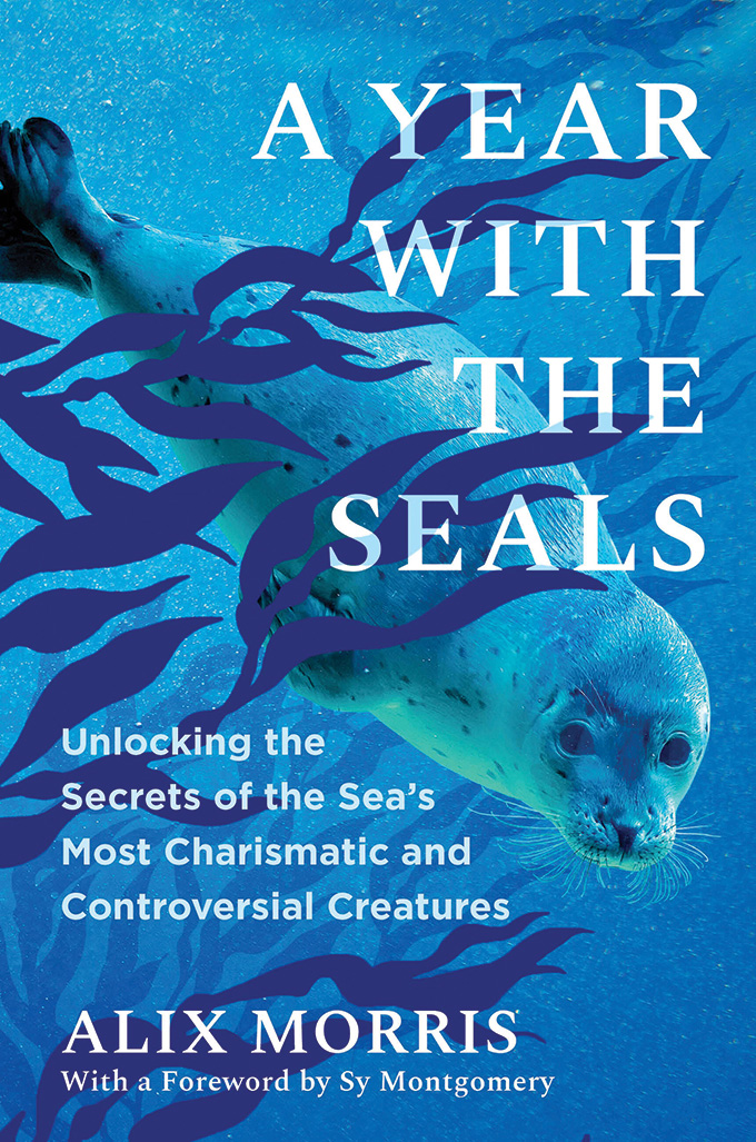 cover of "A Year with the Seals" by Alix Morris