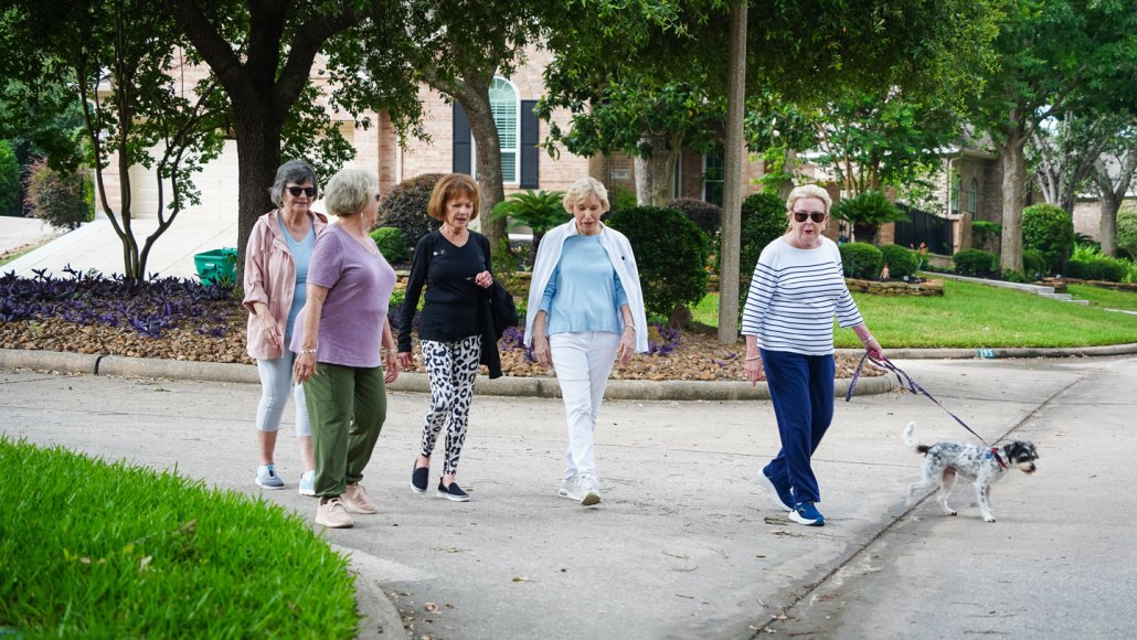 Five older women go for a walk in a neighborhood. One woman is walking a dog.