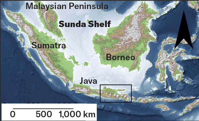 This map of the Malaysian Peninsula shows where the seabed was dredged to make an articial island (area show in a black box over part of Java). The dredged material included thousands of fossils.