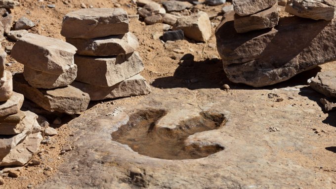Image of a fossilized dinosaur footprint.