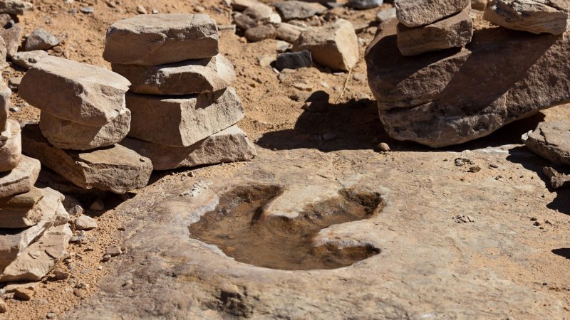 Image of a fossilized dinosaur footprint.