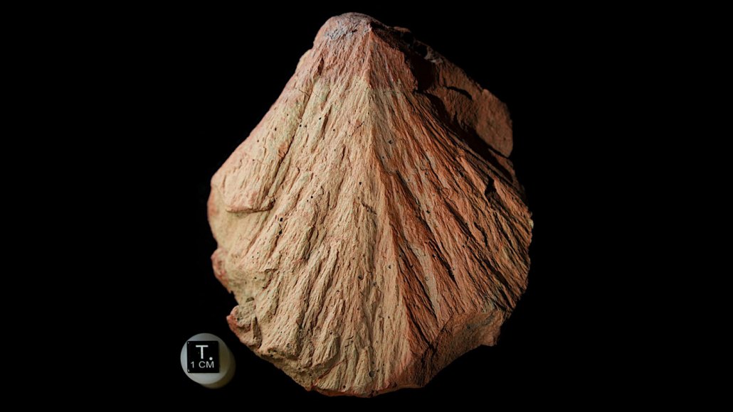 Close-up view of a reddish, cone-shaped rock with deep, radiating grooves etched into its surface, set against a black background.