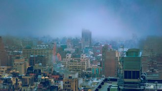A haze hangs over Manhattan. Pollution like this may spark the kinds of DNA mutations that drive lung cancer.