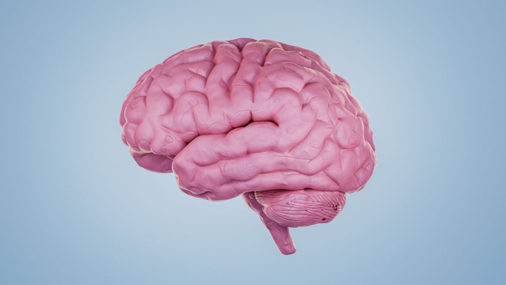 A pink brain faces to the left against a blue background. Brain diseases can be distinguished by proteins in the blood and spinal fluid a large new study suggests.