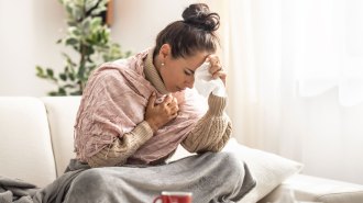 Getting one type of flu might protect against others including H5N1 bird flu. In this picture, an ill young woman sits cross-legged on a white sofa with a gray blanket draped across her legs and pink shawl wrapped around her. Her right hand clutches her chest. Her eyes are closed and her head is bowed resting on her raised left hand, which holds a facial tissue.
