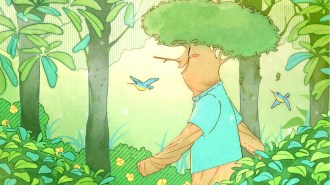 Illustration of a smiling, human-like tree walking through a forest, wearing a t-shirt, surrounded by two blue birds.