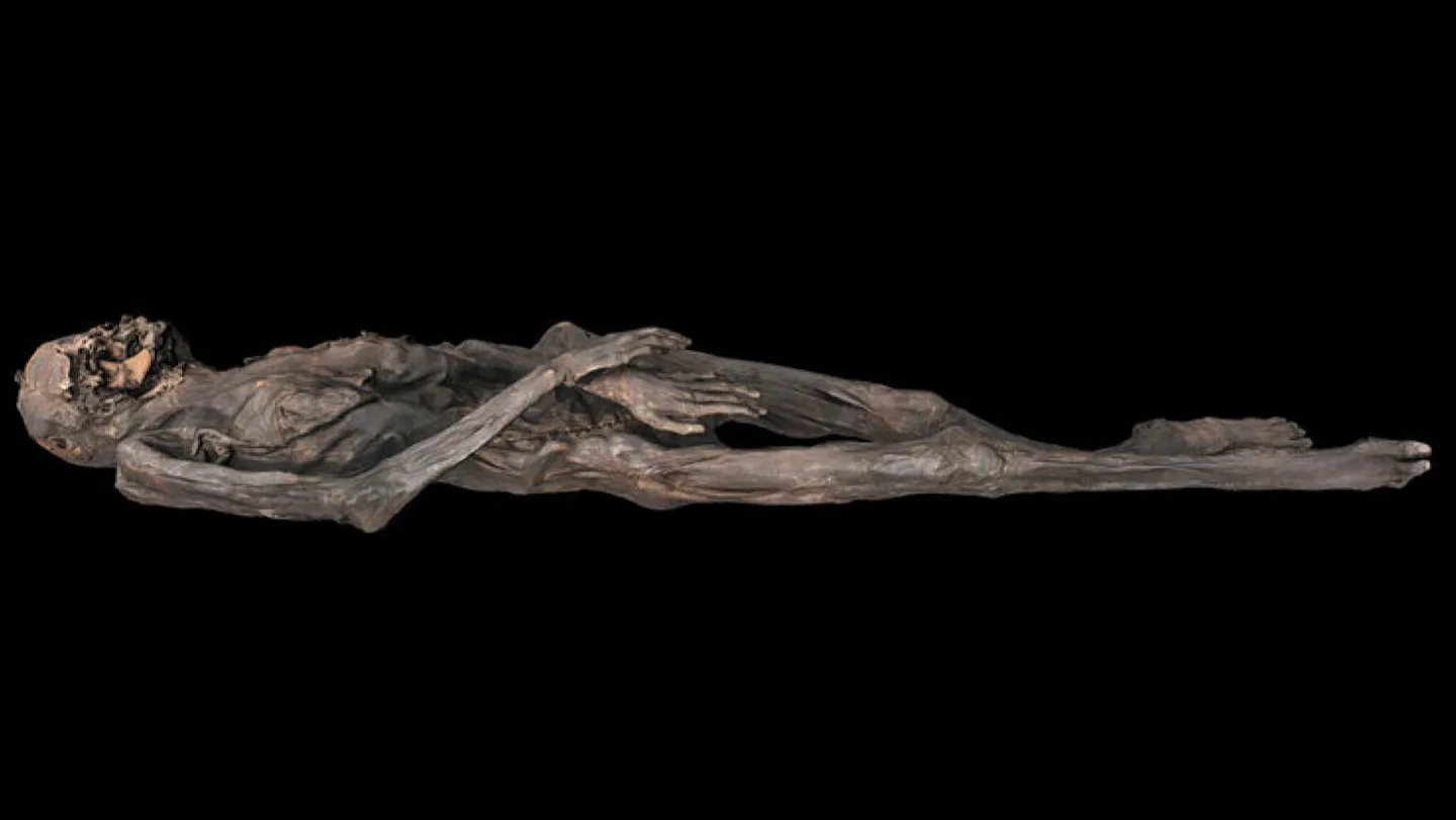 Copper in Ötzi the Iceman's ax came from surprisingly far away