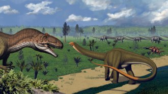 An illustration of dinosaurs. An Allosaurus at left with mouth open to expose its teeth, a long-necked Apatosaurus, and several others in the background.