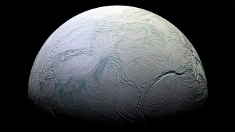 Enceladus, a moon of Saturn, covered in ice and fractures that look like veins.