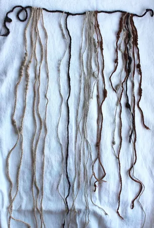 This image shows a khipu, an Inca recordkeeping device. It consists of a string across the top from which knotted strings dangle.
