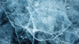 Image of close up of bubbles in a frozen lake