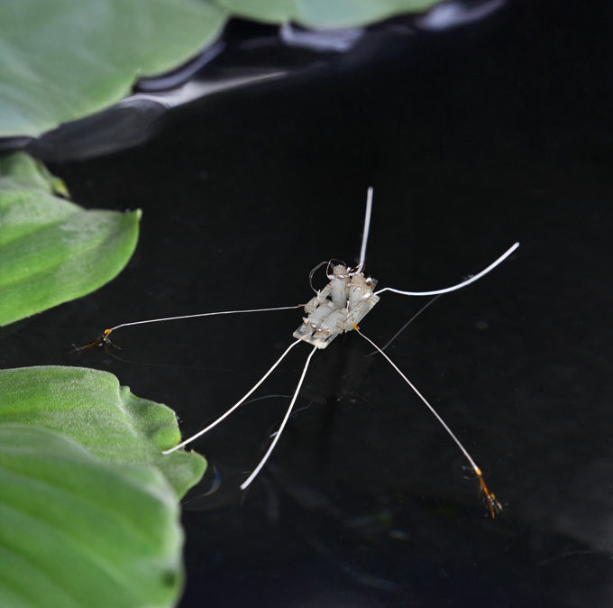 A robot rests on top of water next to some greenery.