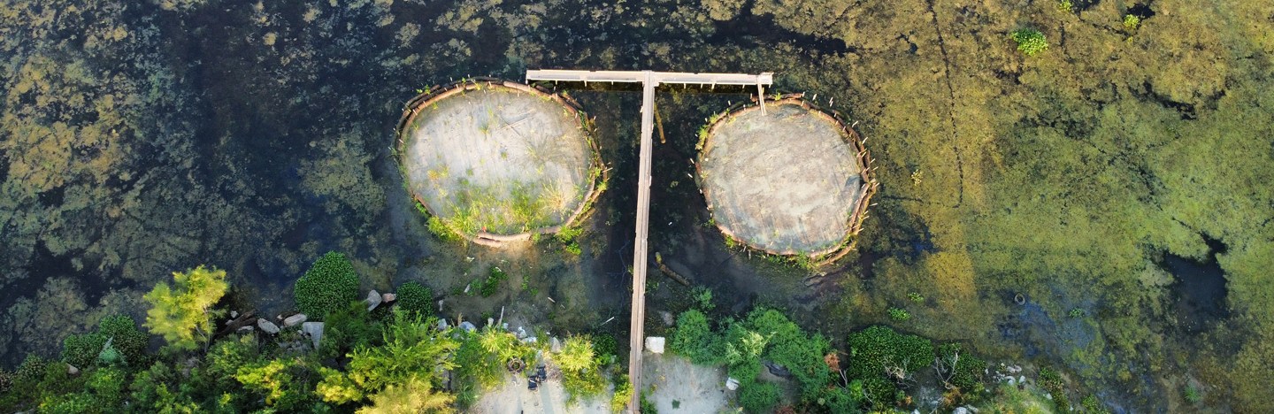 A birds-eye view of two small circular islands surrounded by marshy forest. The island on the right is more sparsely vegetated in this image.